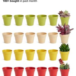 24-Pk. Tiny Plastic Pots for Plants 1.5 Inches, Mini Planters for Flowers and/or Succulents in 4 Colors 