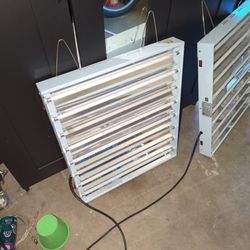 Hydrofarm Grow Lights