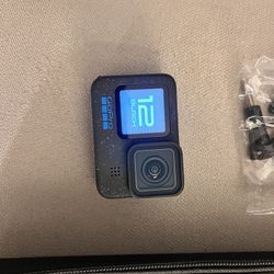 12gopro