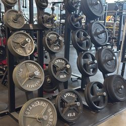 Olympic Plates – Bumper Plates – Olympic Bar – Rubber Flooring – Home Jim – Squat Rack – Smith Machine – Dumbbells – Kettlebells