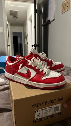 Dunks Size 10