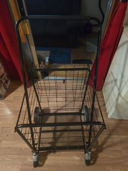 SHOPPING CART WITH BAG - $25