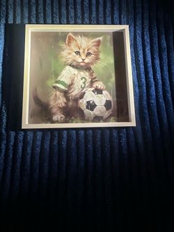 Home Goods portrait of cat with a soccer ball