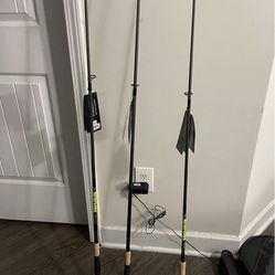 Fishing rod/Reels Brand New