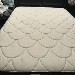 FREE -  Queen Mattress And Box Spring 
