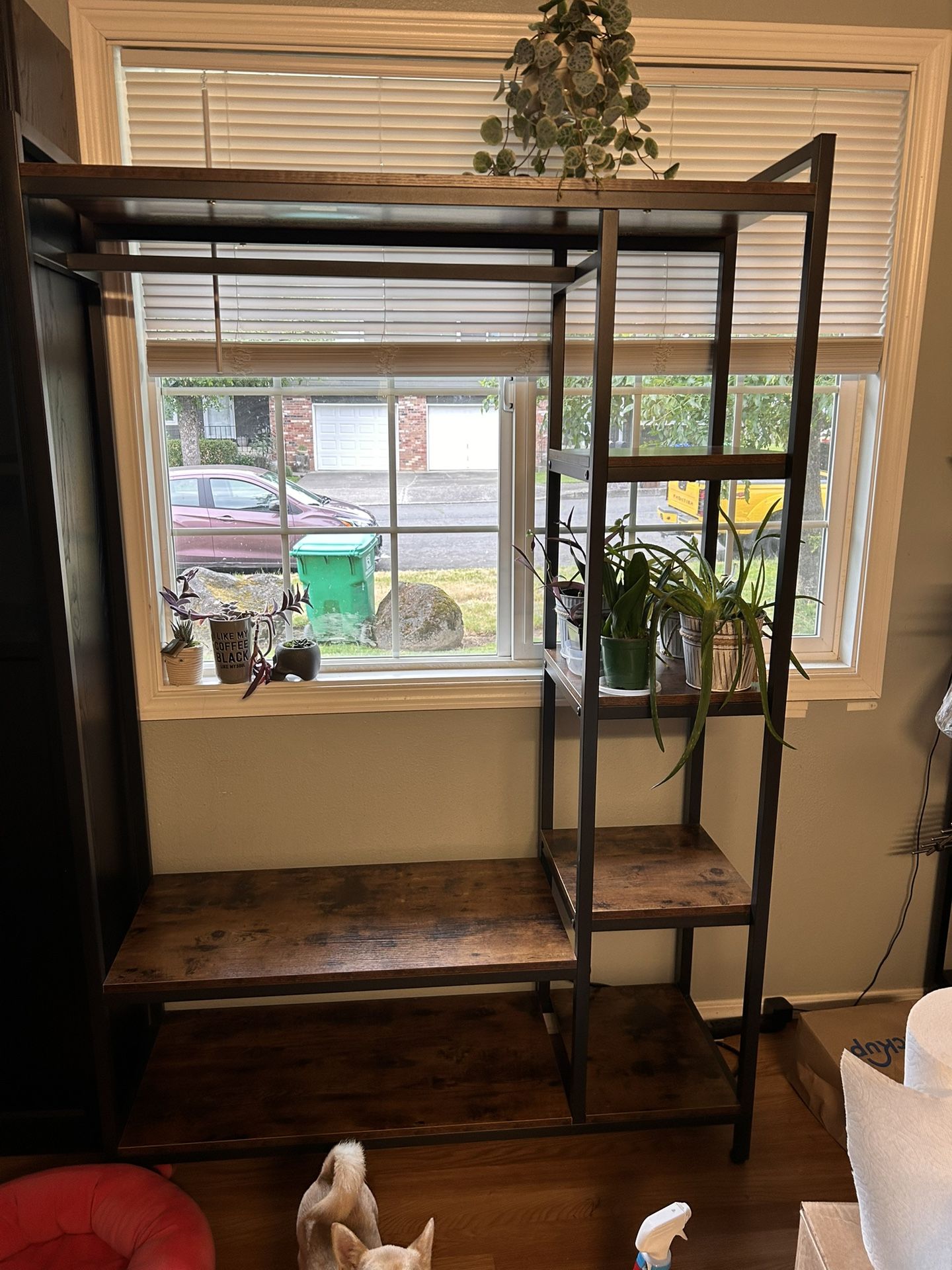 Storage Shelf