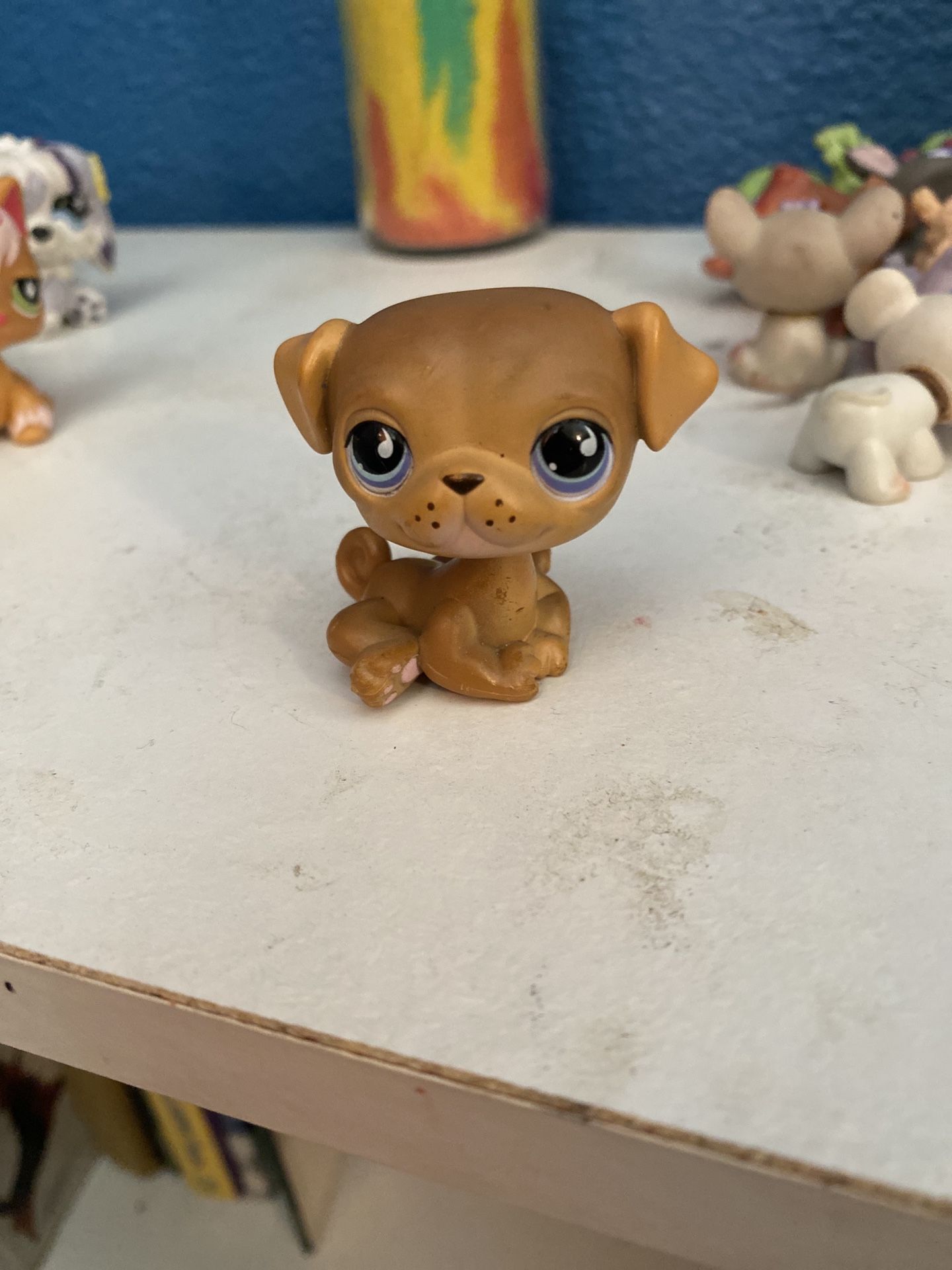 Pug lps