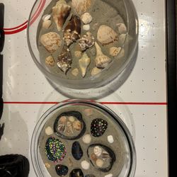 Sand Shell Stone Art