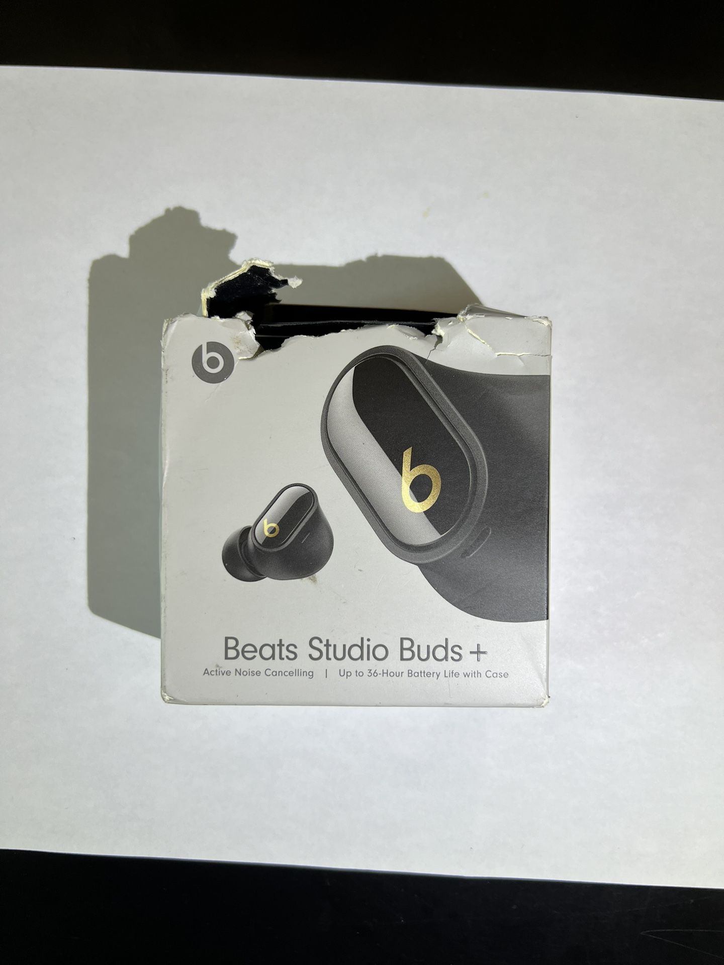 Beats Studio Buds + True Wireless Earbuds