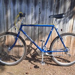 Vintage Restoration 82/83 CyclePro Skyline
