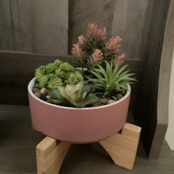 Faux Succulent Plants In Pink Ceramic Bowl 