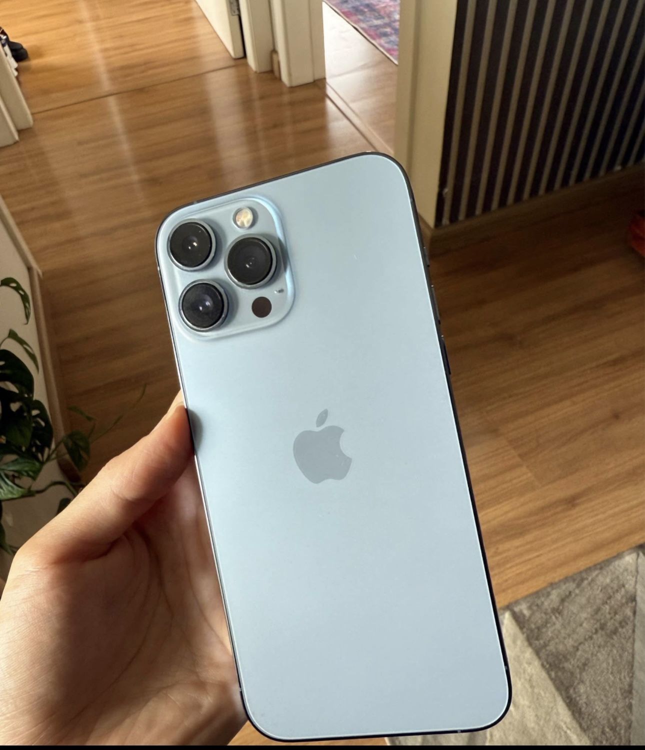iPhone