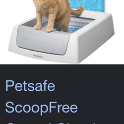 Cat Litter Self Cleaning Box 