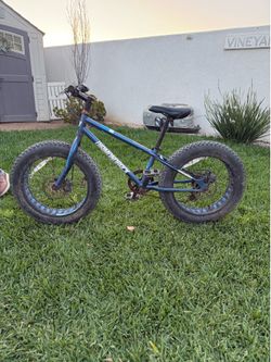 Diamondback El Oso Nino Fat Tire Bike