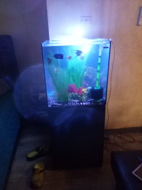 Aquatop Eco 40 Gallon Fish Tank
