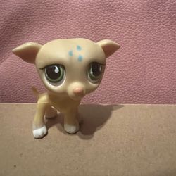 Greyhound Littlest Pet Shop Pet