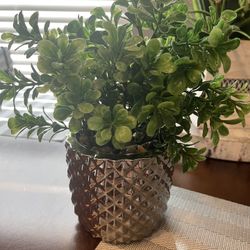 Artificial Plant 