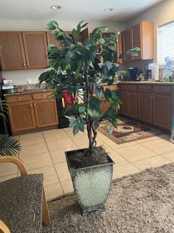 Artificial House Plants