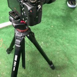 Sony A7s + G Master 20mm 1.8