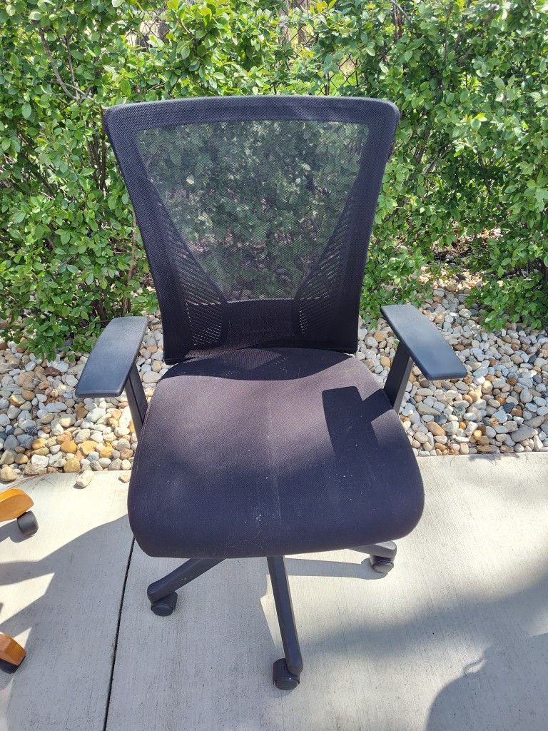 Rolling Ergonomic Office Chair