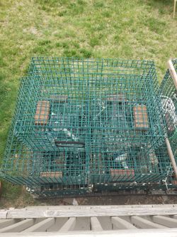 Lobster crab holding pen