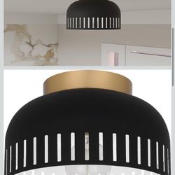 1 Count Ceiling Light