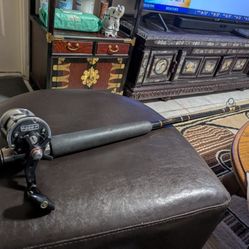 Newell P229-F with Penn Power Stick