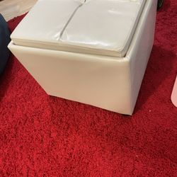 Leather Storage /Seat