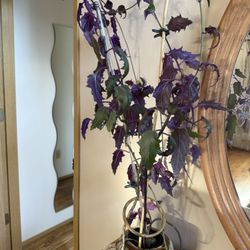 Plant Live $40