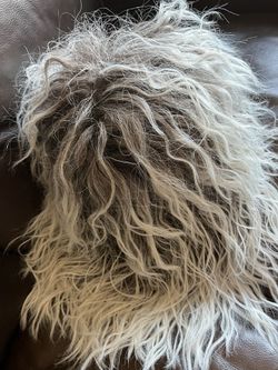 Costume Wig & Cape Adult $10