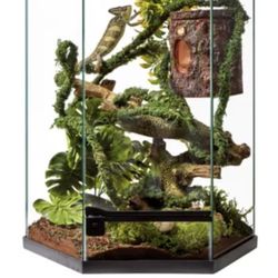 Hexagon Tropical Reptile Terrarium