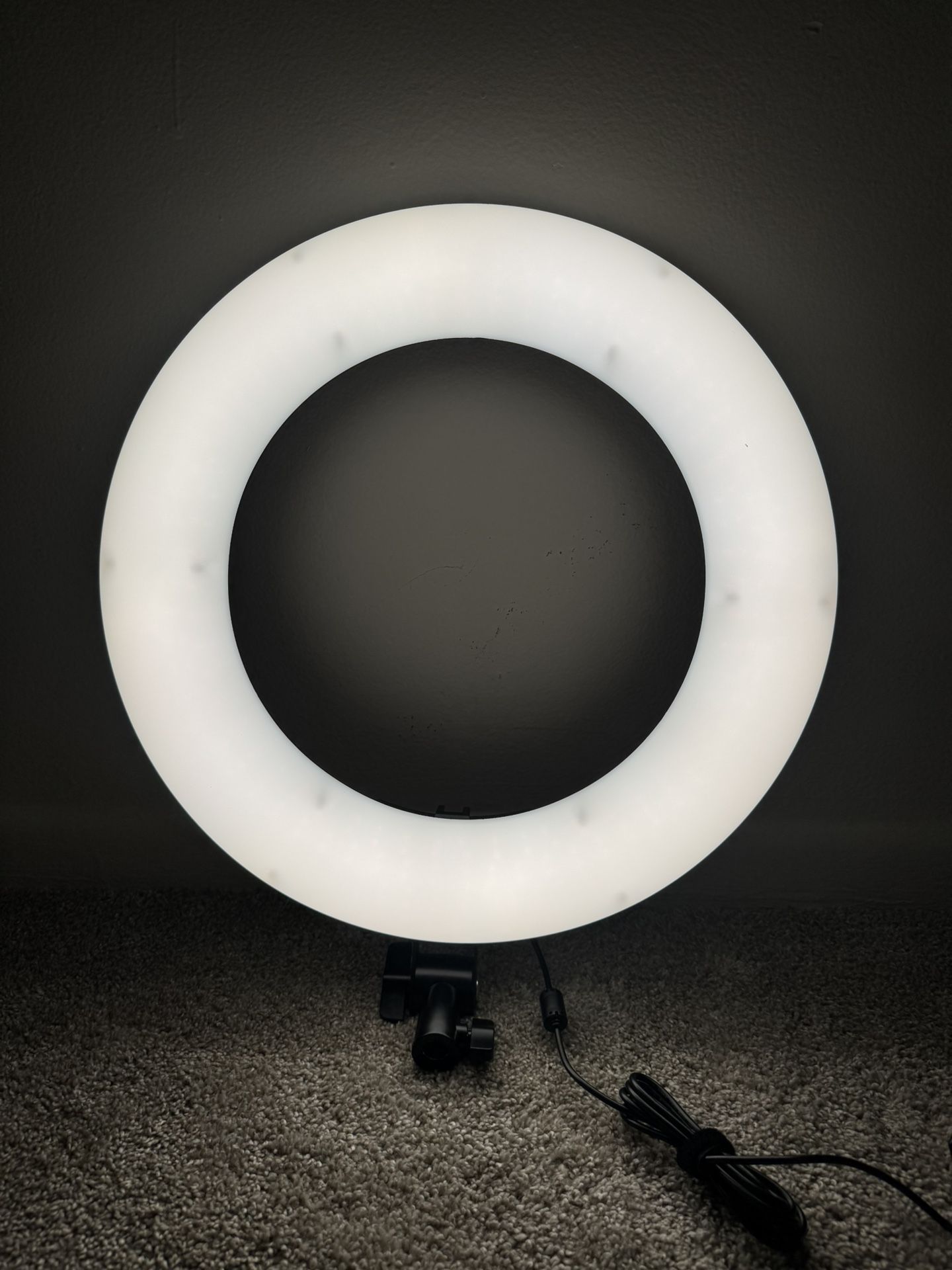 VILTROX 18-Inch Ring Light – 45W 3400LM (Light Only, No Stand)
