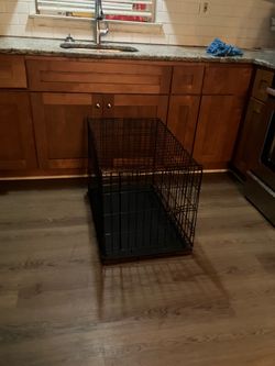 Dog cage Ava now