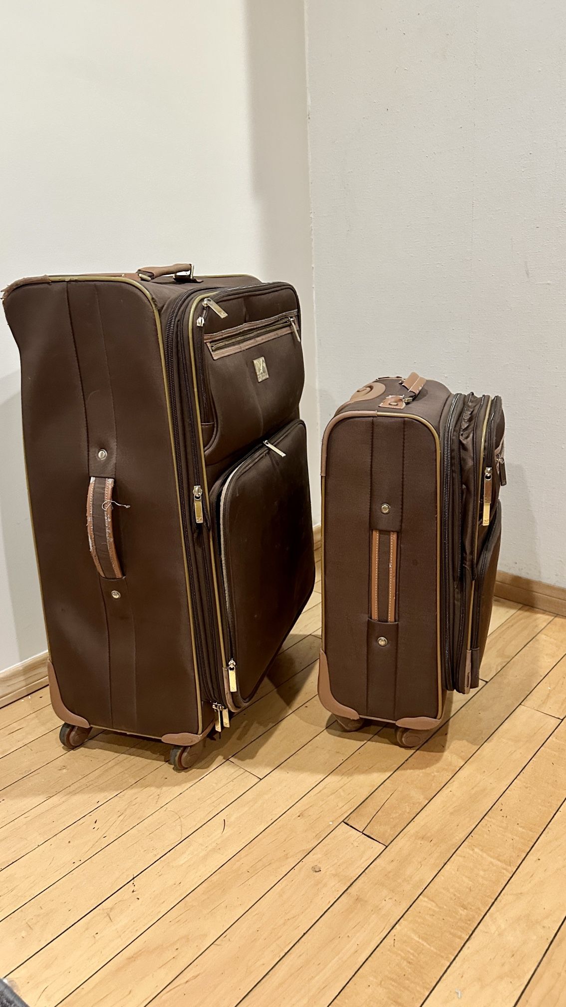 DF Studio 24” and 20” Luggage Set (2 Pieces)