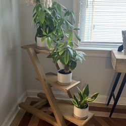 plant shelf 100% handmade real wood