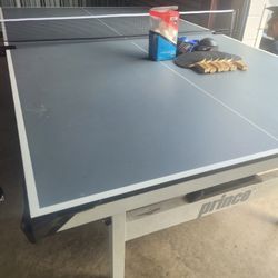 Professional Ping Pong Table 9 X 6