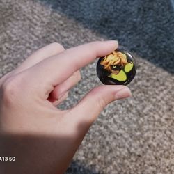 Miraculous Ladybug: Cat Noir Pin