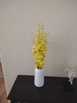 Brand New With No Tag We Buy It Wrong 