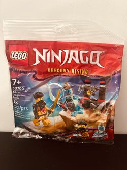 Retired Lego Ninjago Arin vs Dragonian 30700