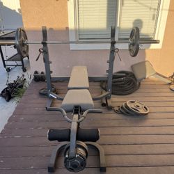 Weight Bench