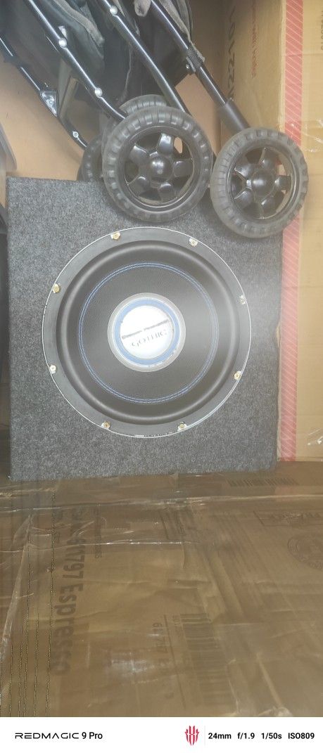 12" Gothic Subwoofer