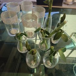 Small Vases 👀PLS READ DESCRIPTION BELOW ⤵️