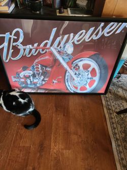 BUDWEISER LIGHTED CHOPPER SIGN 40X28
