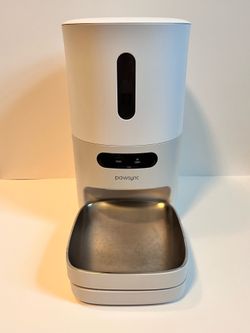 Auto feeder for cats