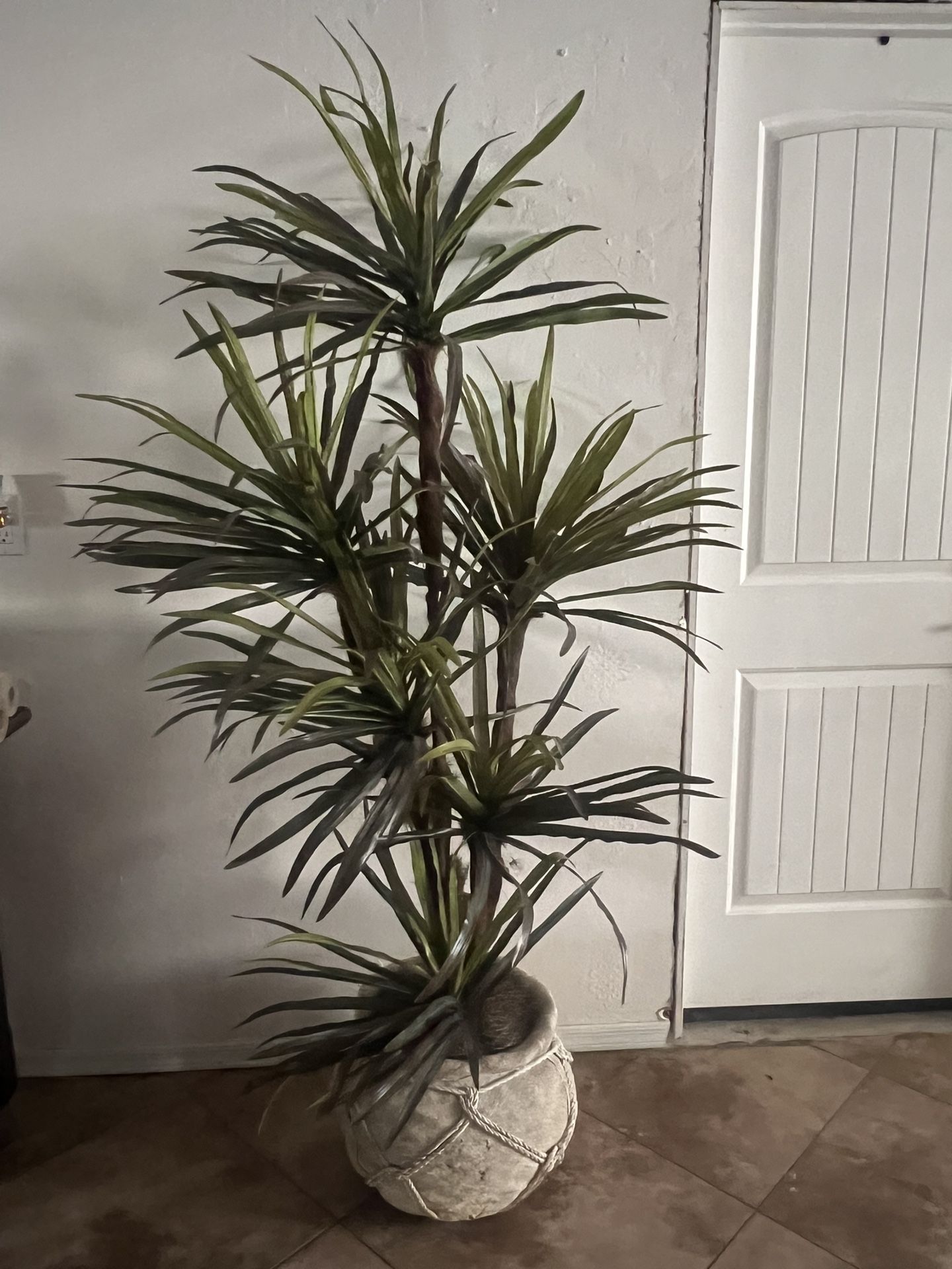 Large Plant Artifice. Perfect Conditions 