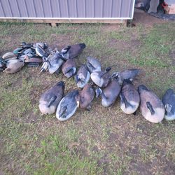 Thirty five vintage assorted goose and duck decoys G&H, FLAMEBEAU.