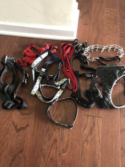 Dog Harness
