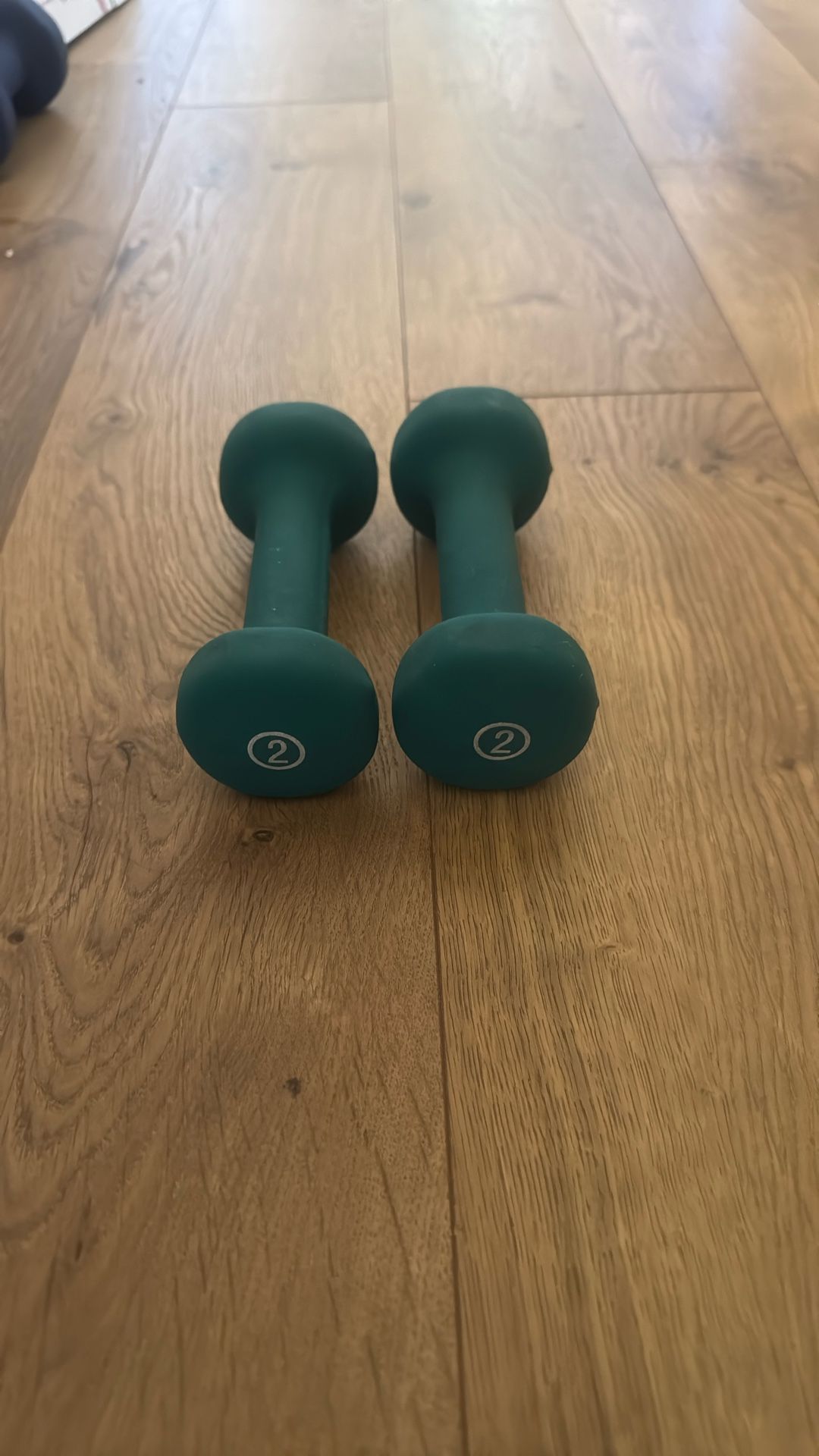 2lb Weights