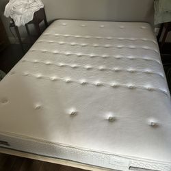 Queen Sized Mattress & Bed Board and Frame 