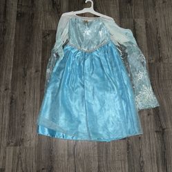 Beautiful Elsa Costume